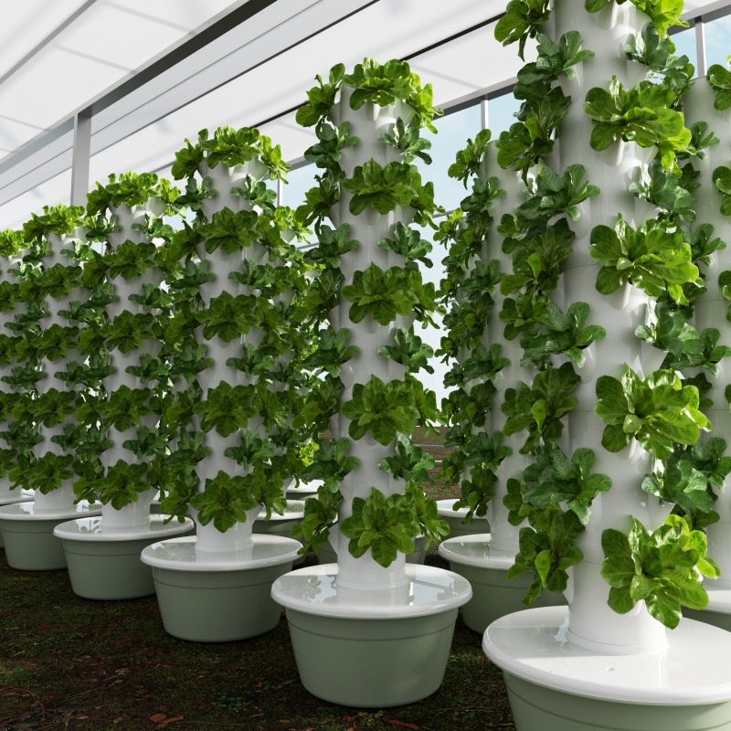Smart Garden Vertical - 2024 Smart Low Cost Greenhouse Vertical