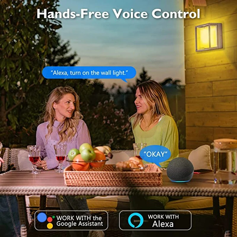 Tuya Smart WiFi/ZigBee Wall Li - đánh giá và giá Smart Zigbee Garden Light