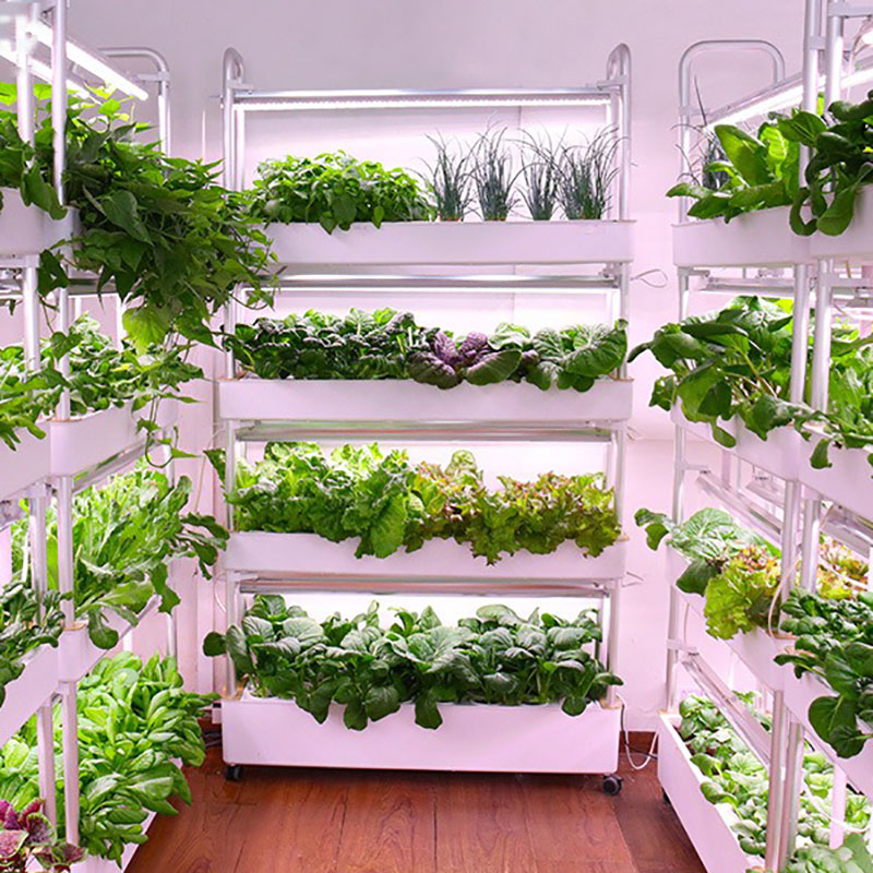 Thủy Canh Phát Triển Hệ Thống  - đánh giá và giá Smart Garden Vertical