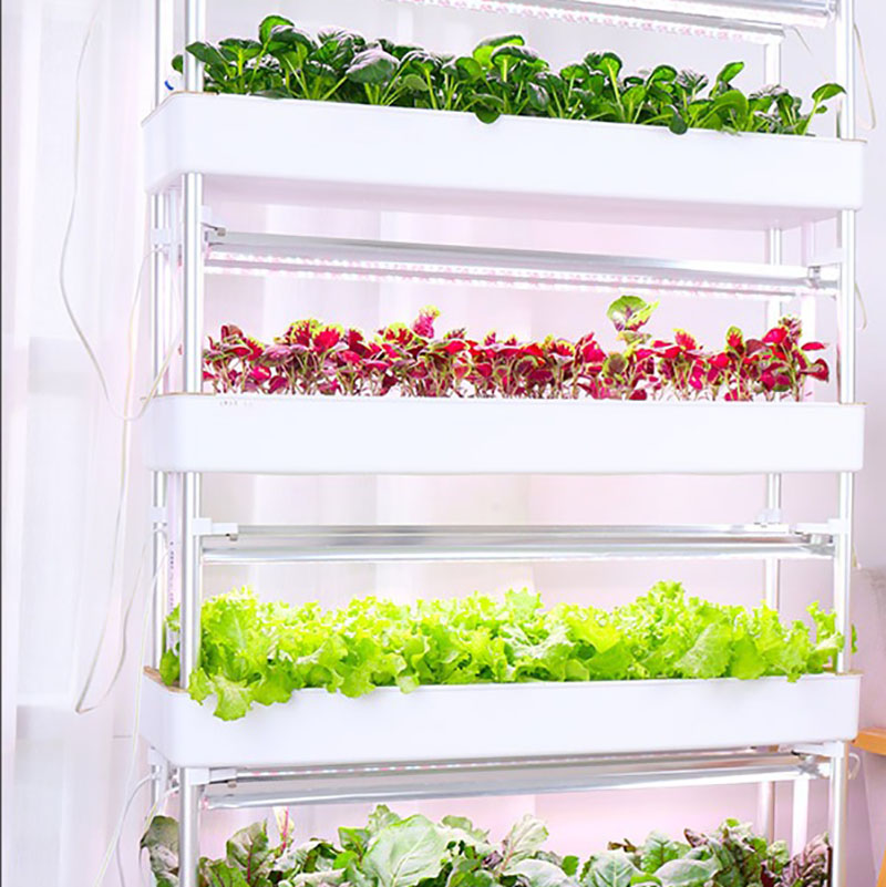Thủy Canh Phát Triển Hệ Thống  - đánh giá và giá Smart Garden Vertical