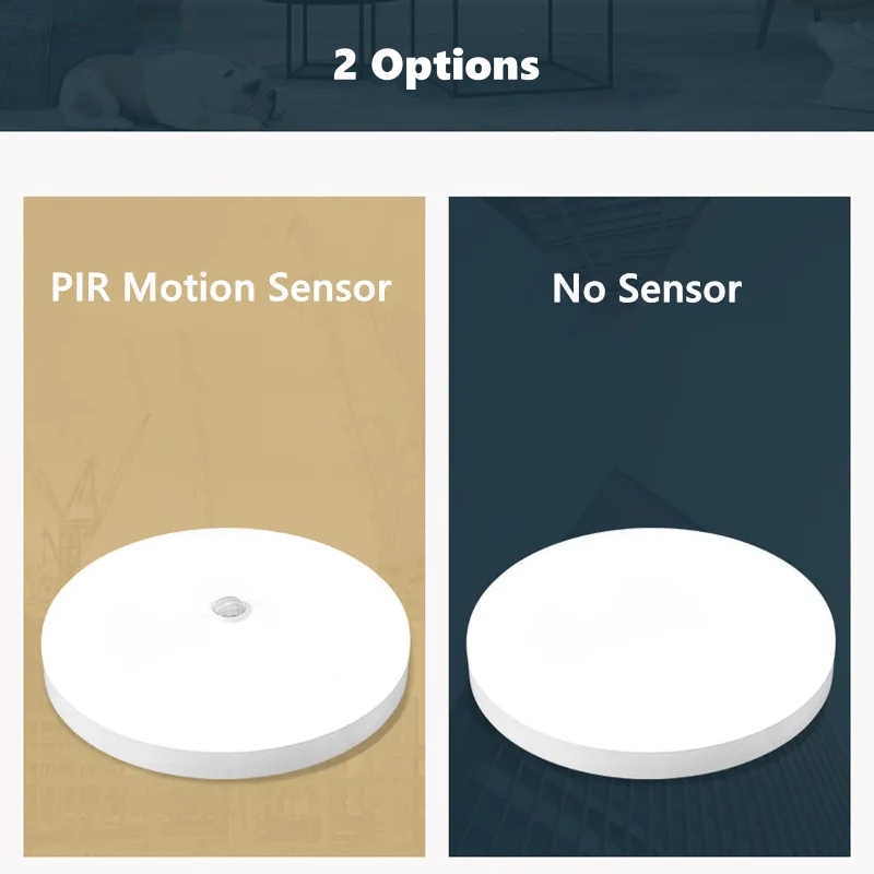 Waterproof LED Ceiling Lamp PI - đánh giá và giá Smart Led Garden