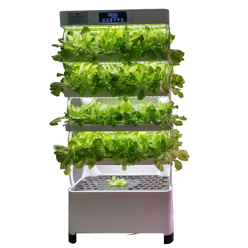 Indoor Smart Low Cost Hydropon - đánh giá và giá Smart Garden Vertical