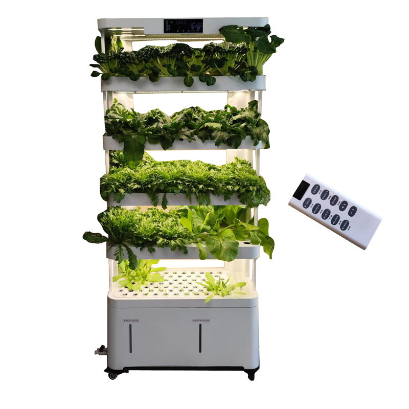Indoor Smart Low Cost Hydropon - đánh giá và giá Smart Garden Vertical