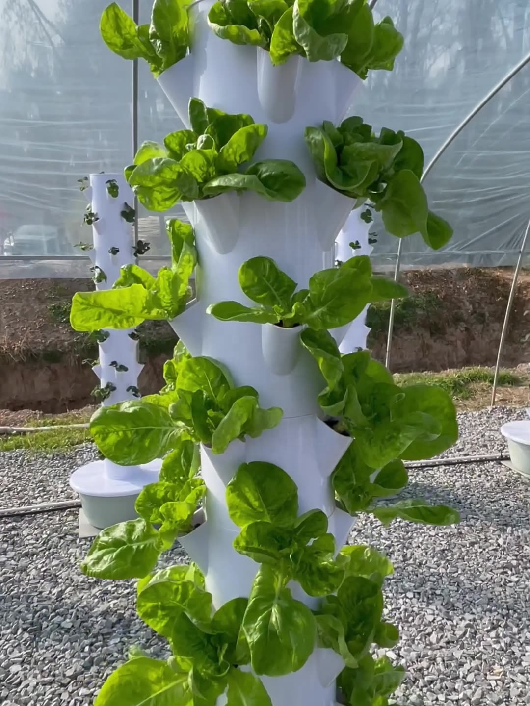 2024 Smart Low Cost Greenhouse - đánh giá và giá Smart Garden Vertical