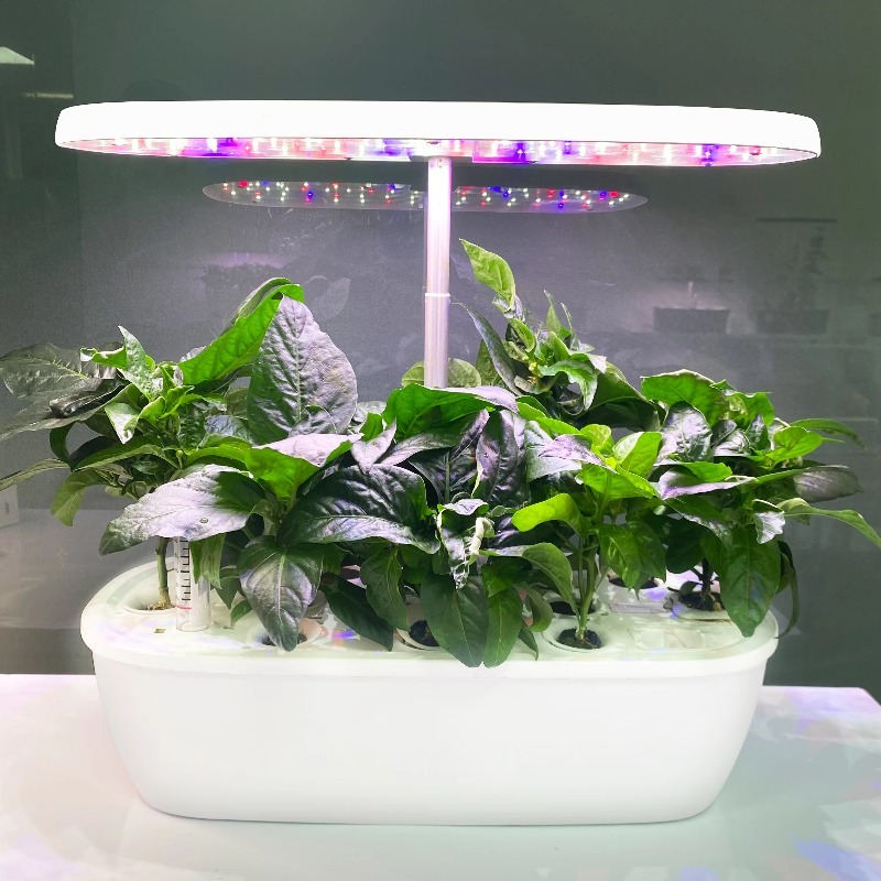 Smart Electronic Indoor Hydrop - đánh giá và giá Smart Garden Design