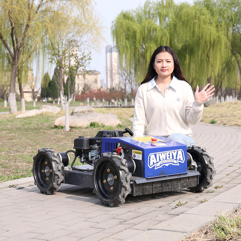 Customized Automatic Robot Law - đánh giá và giá Smart Garden Gadgets