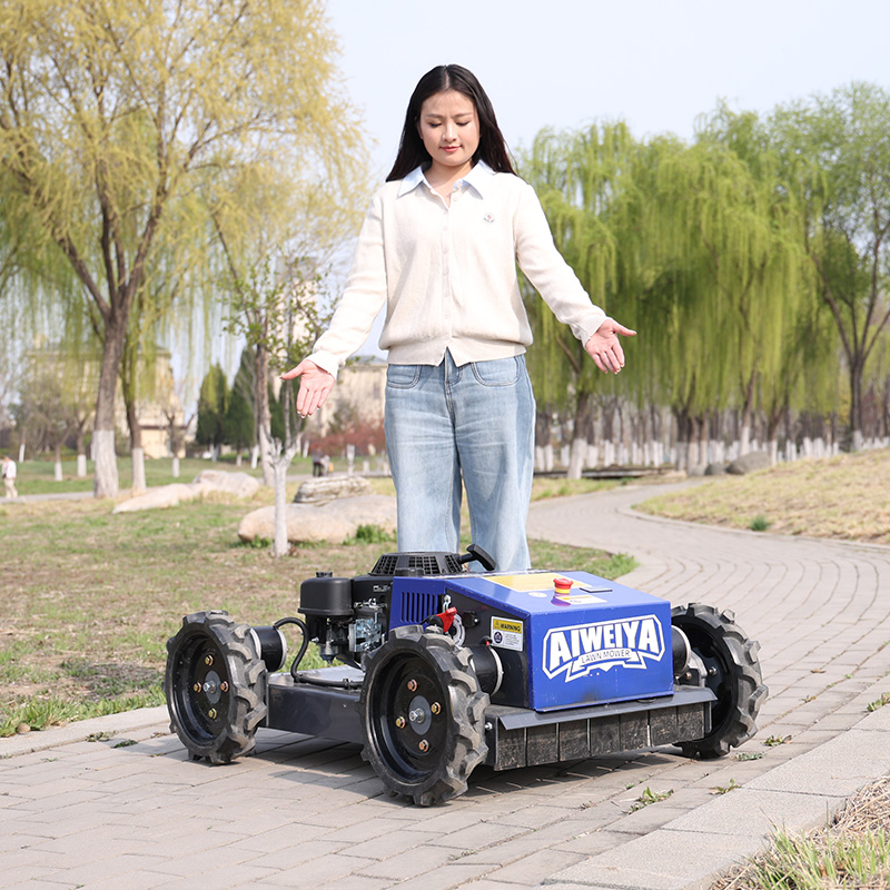 Customized Automatic Robot Law - đánh giá và giá Smart Garden Gadgets